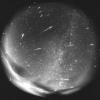 Boinc - last post by MeteorWayne
